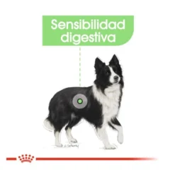 Royal Canin Digestive Care Medium pienso para perros