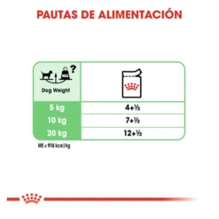 Royal Canin Digestive Care Paté sobres para perros