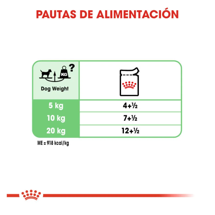 Royal Canin Digestive Care Paté sobres para perros