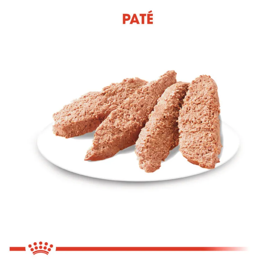 Royal Canin Digestive Care Paté sobres para perros