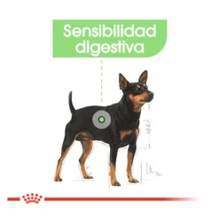 Royal Canin Digestive Care Paté sobres para perros