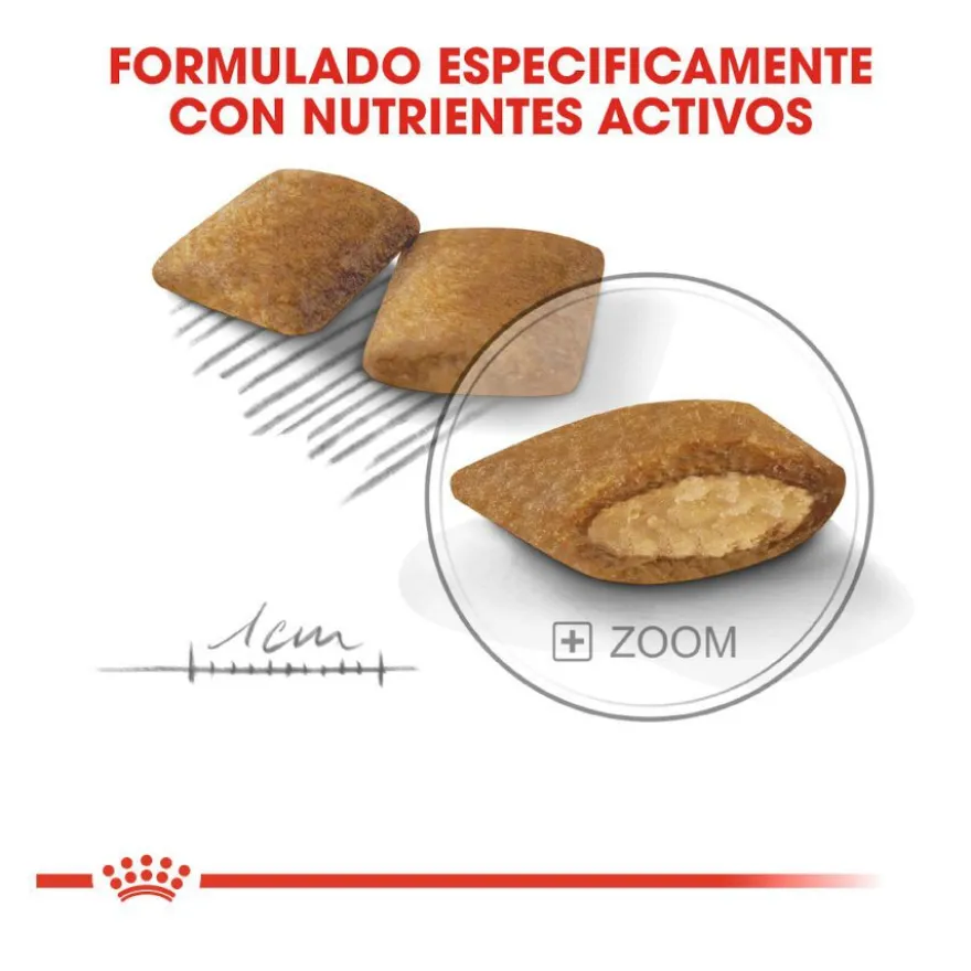 Royal Canin Exigent Mini pienso para perros