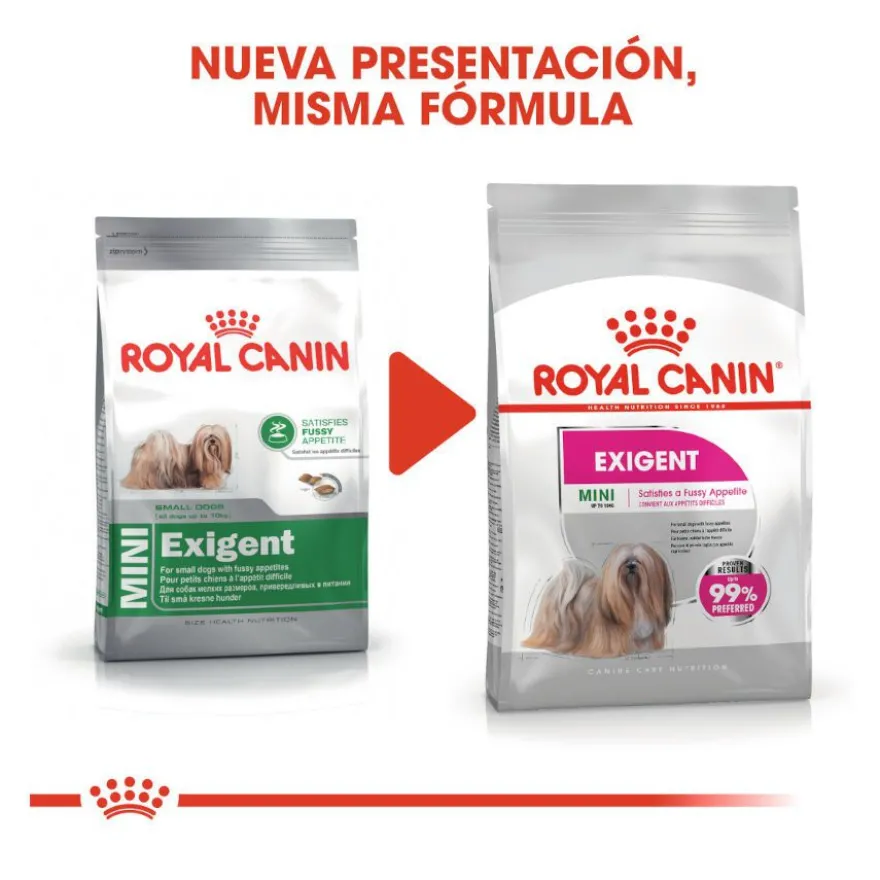 Royal Canin Exigent Mini pienso para perros