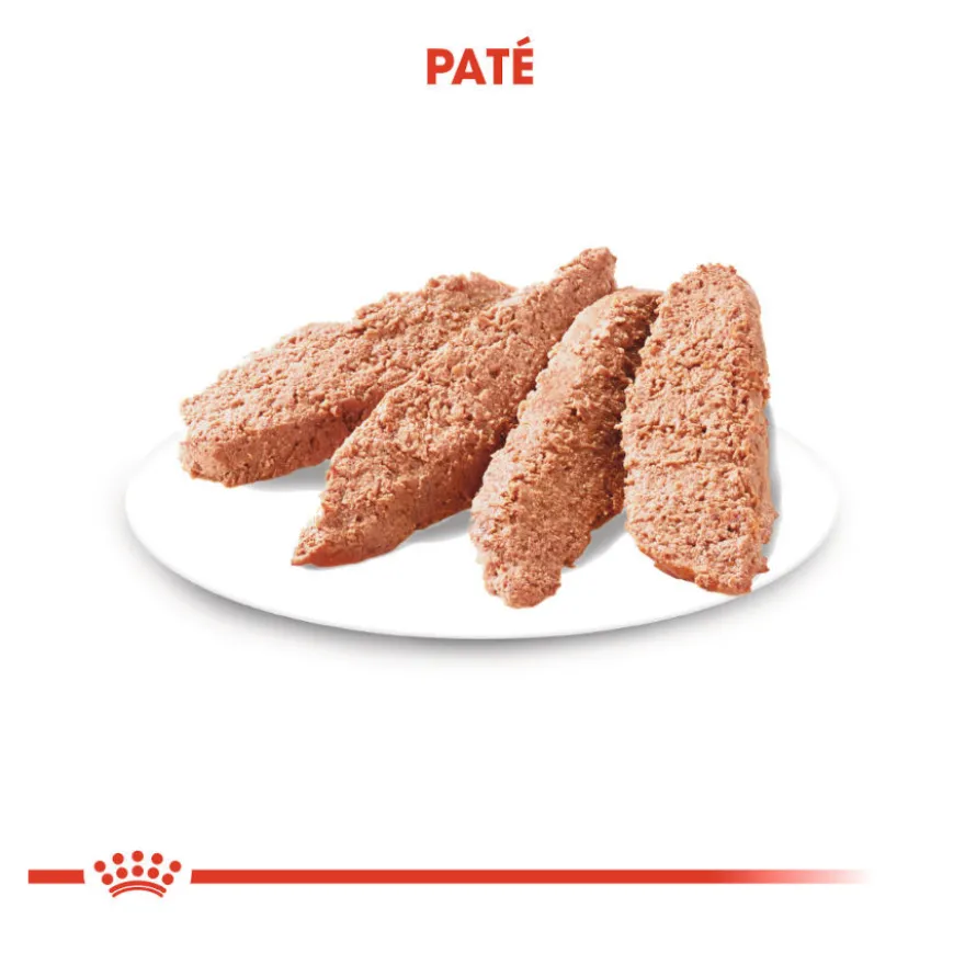 Royal Canin Exigent paté sobre para perros