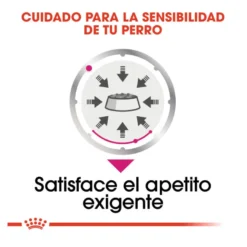 Royal Canin Exigent paté sobre para perros
