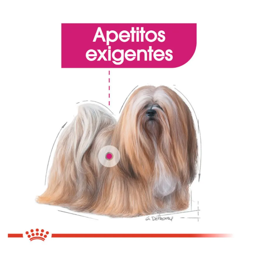 Royal Canin Exigent paté sobre para perros