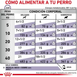 Royal Canin Expert Adult Láminas en Salsa sobre para perros
