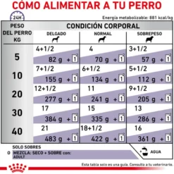 Royal Canin Expert Adult Sobre en Salsa para perros