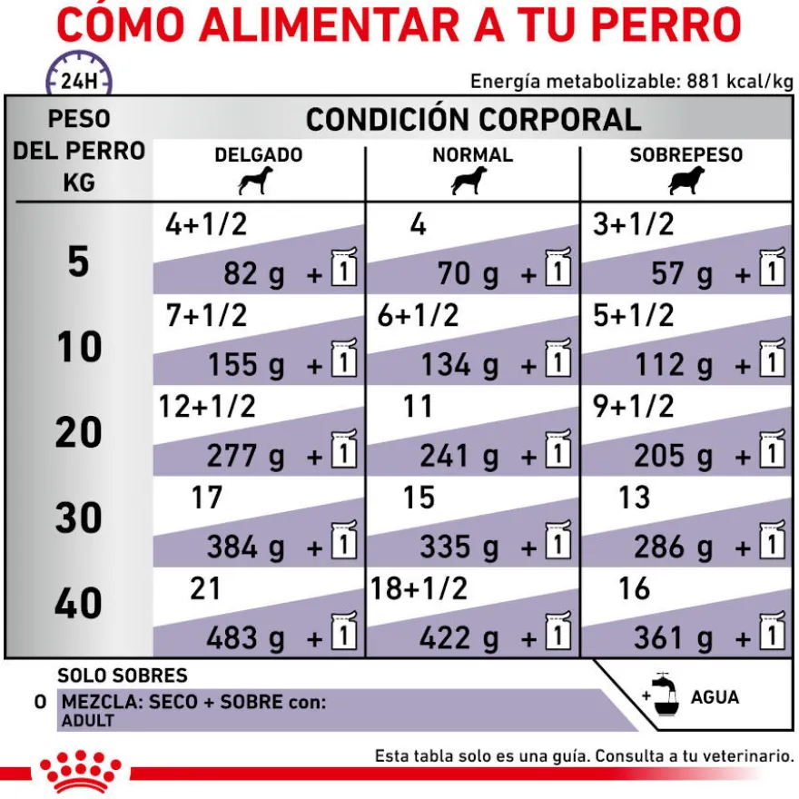 Royal Canin Expert Adult Sobre en Salsa para perros