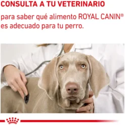 Royal Canin Expert Adult Sobre en Salsa para perros