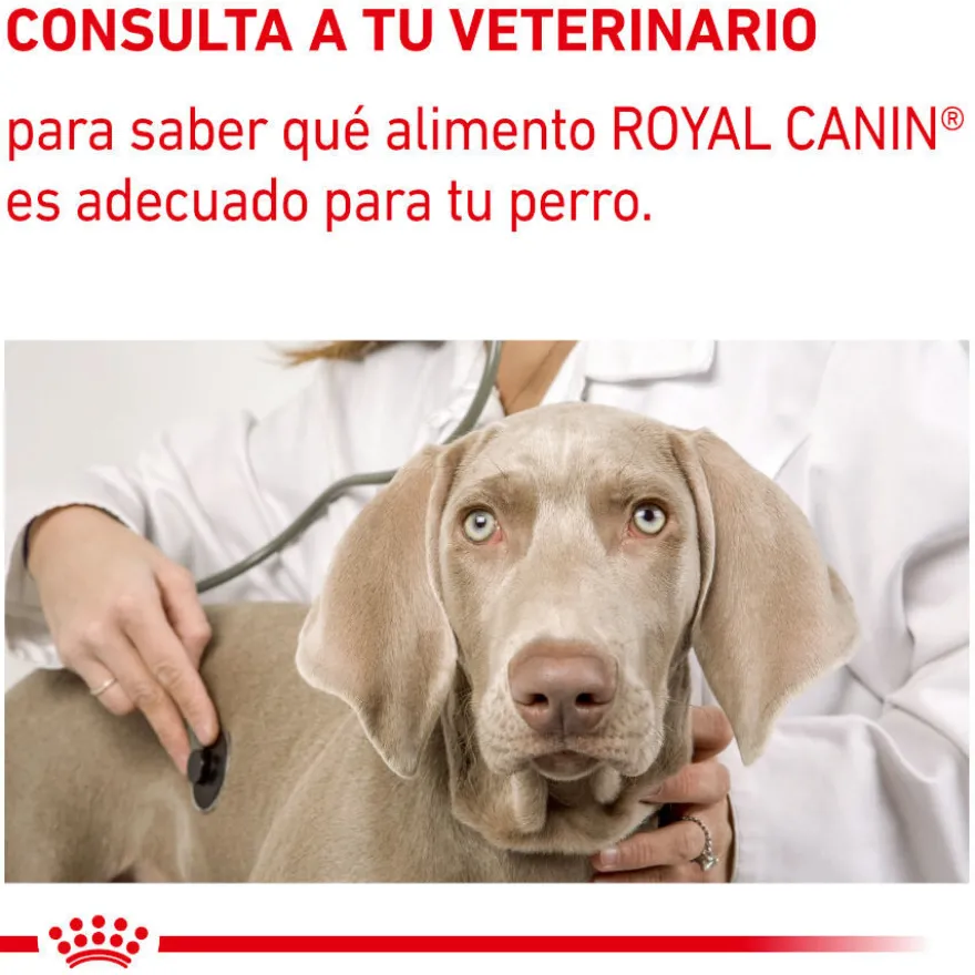 Royal Canin Expert Adult Sobre en Salsa para perros
