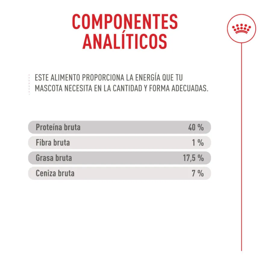 Royal Canin Fussy Exigent Pienso para gatos