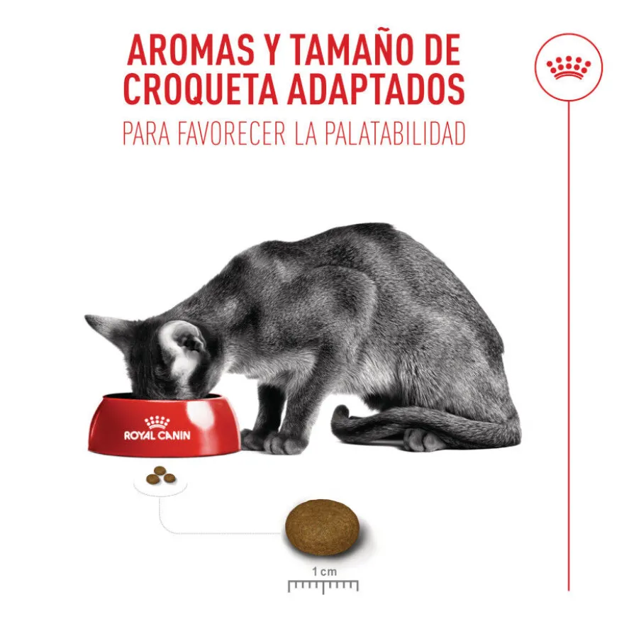 Royal Canin Fussy Exigent Pienso para gatos