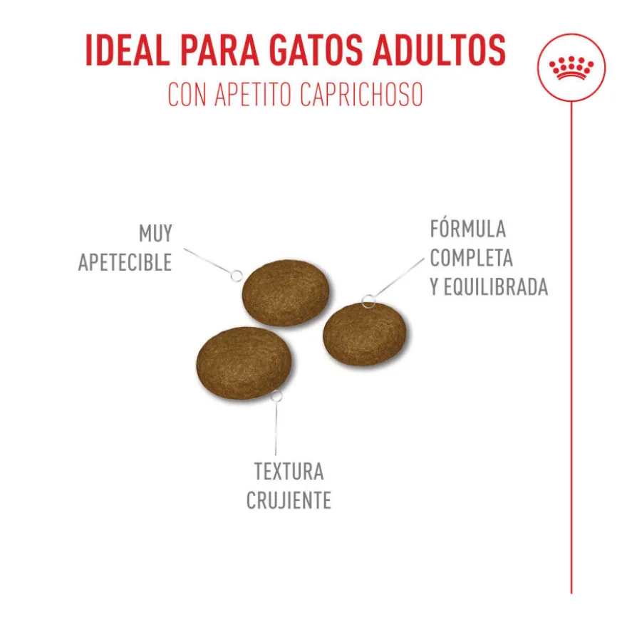 Royal Canin Fussy Exigent Pienso para gatos