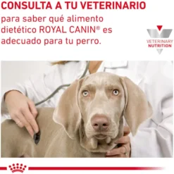 Royal Canin Gastrointestinal High Fibre Paté Lata para perros