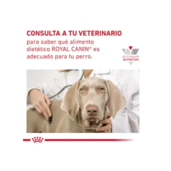 Royal Canin GastroIntestinal Low Fat pienso para perros pequeños