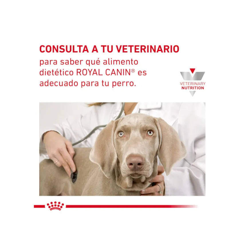 Royal Canin GastroIntestinal Low Fat pienso para perros pequeños