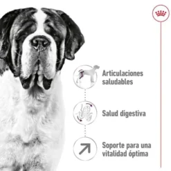 Royal Canin Giant Adult pienso para perros