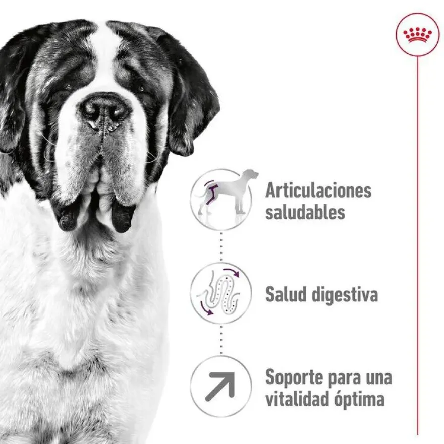 Royal Canin Giant Adult pienso para perros