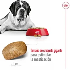 Royal Canin Giant Adult pienso para perros