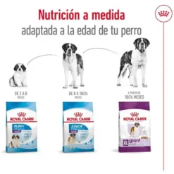 Royal Canin Giant Adult pienso para perros