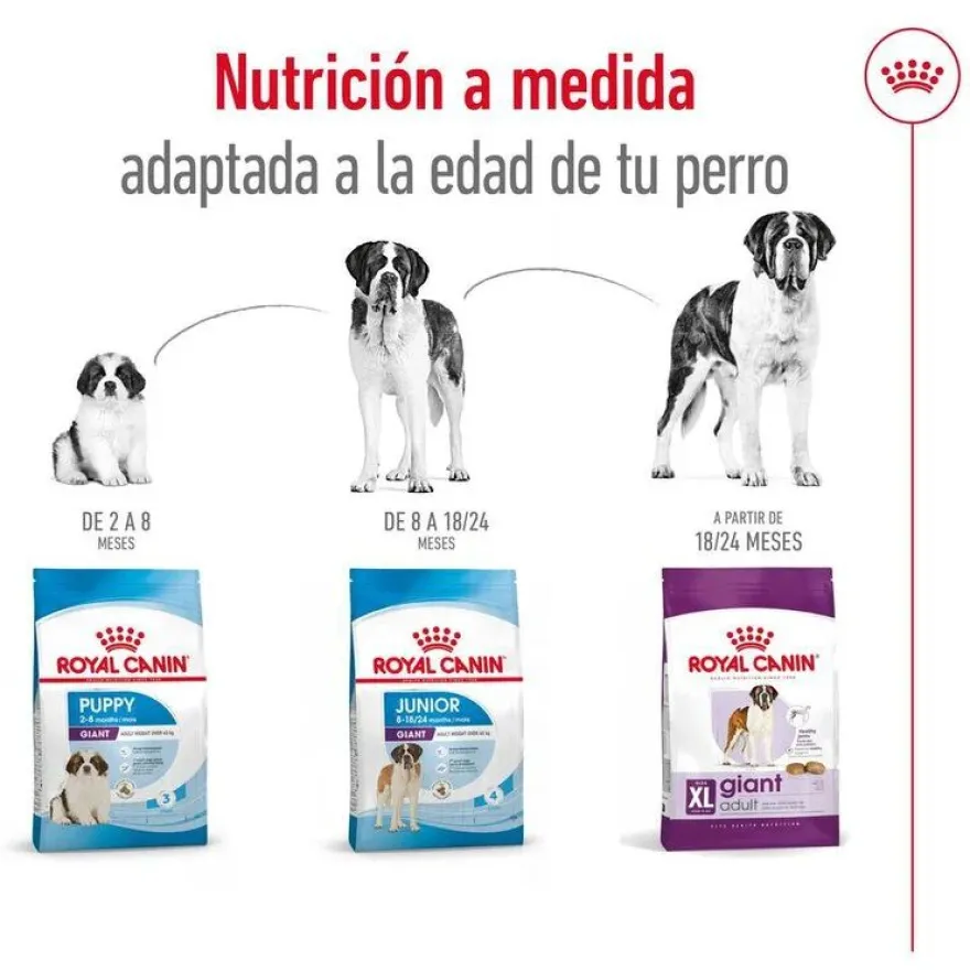Royal Canin Giant Adult pienso para perros