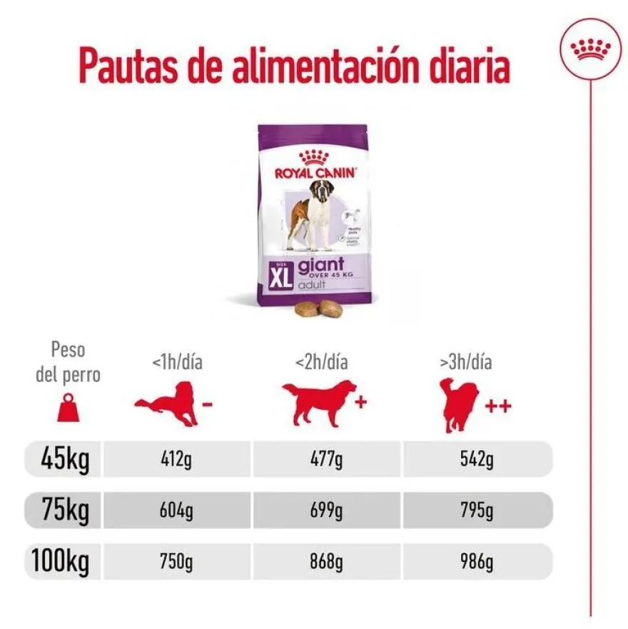 Royal Canin Giant Adult pienso para perros