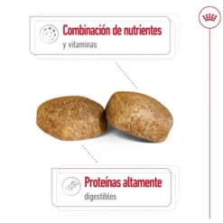 Royal Canin Giant Adult pienso para perros