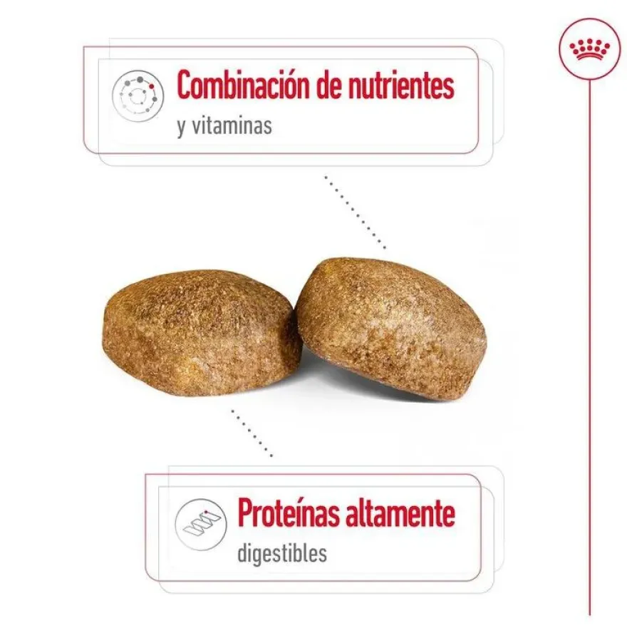 Royal Canin Giant Adult pienso para perros