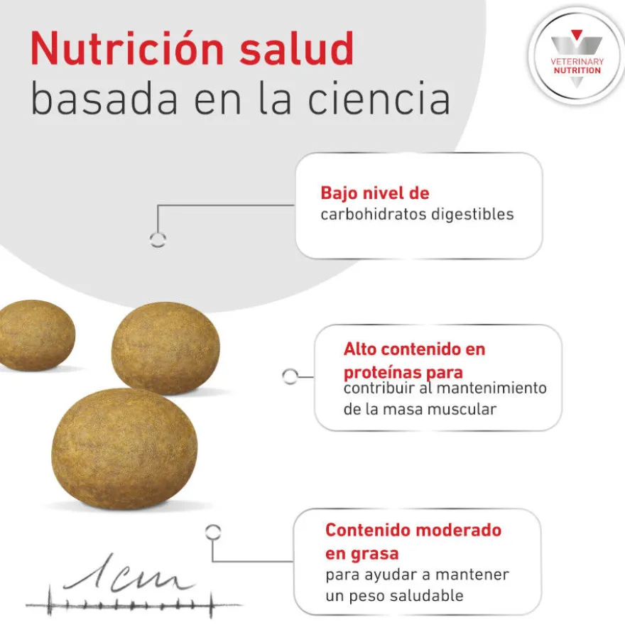 Royal Canin Glycobalance Pienso para perros pequeños