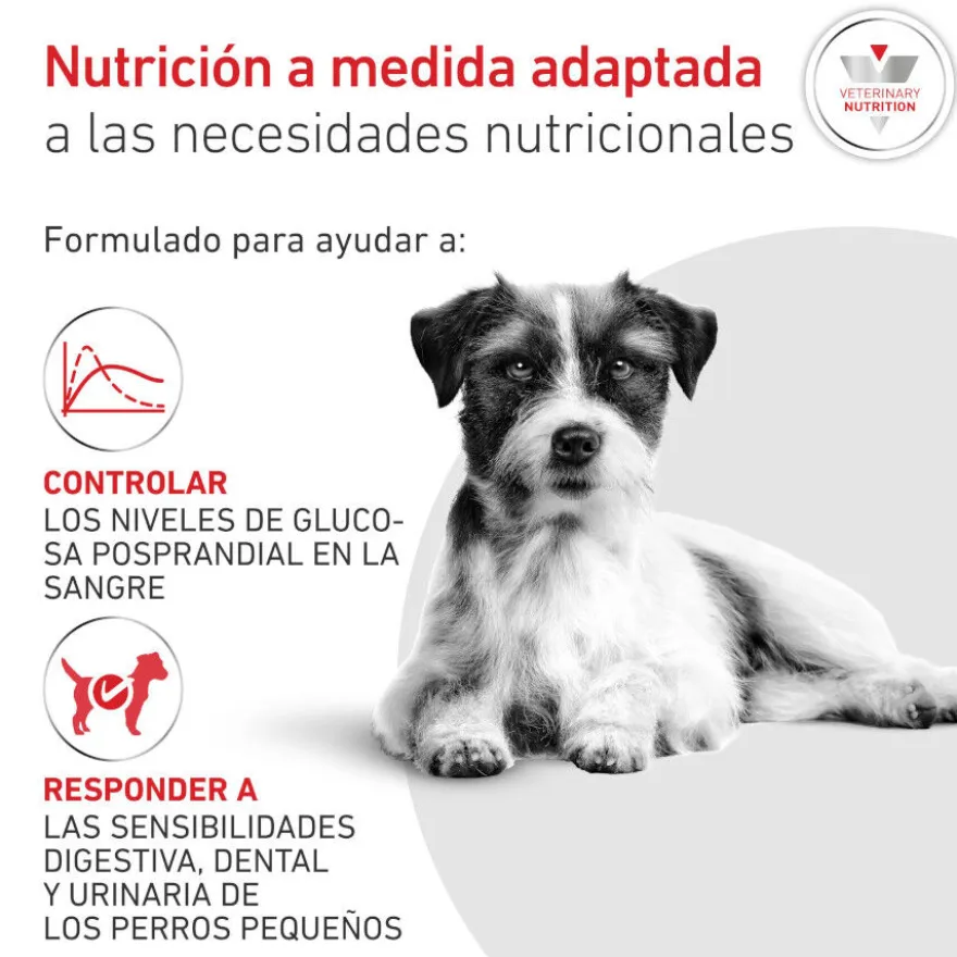 Royal Canin Glycobalance Pienso para perros pequeños