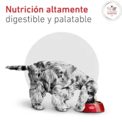 Royal Canin Glycobalance Pienso para perros pequeños