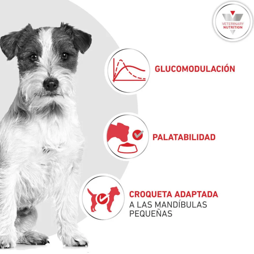 Royal Canin Glycobalance Pienso para perros pequeños