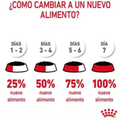 Royal Canin Hair and Skin sobre en salsa para gatos