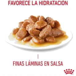 Royal Canin Hair and Skin sobre en salsa para gatos