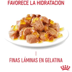 Royal Canin Hairball Care Sobre en Gelatina para gatos