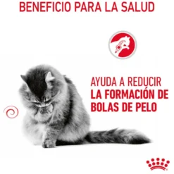 Royal Canin Hairball Care Sobre en Gelatina para gatos