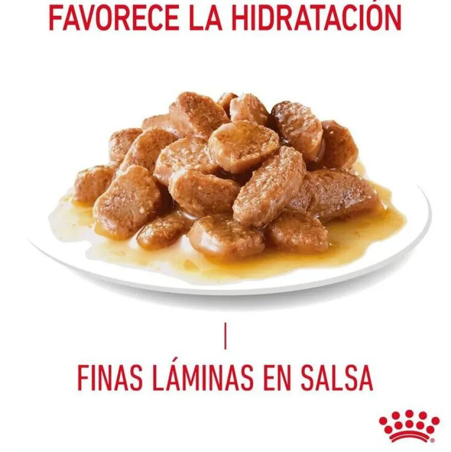 Royal Canin Hairball sobre en salsa para gatos