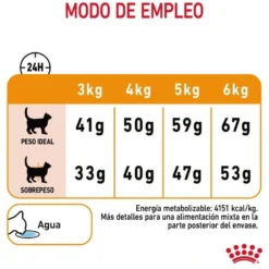 Royal Canin HairySkin pienso para gatos
