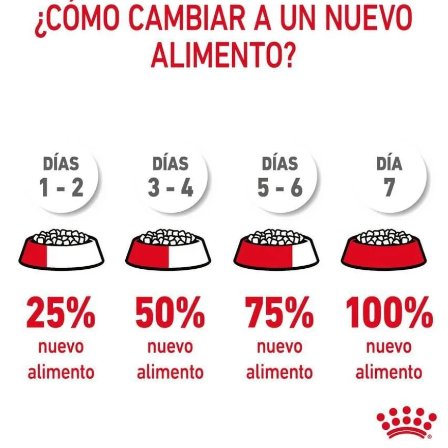 Royal Canin HairySkin pienso para gatos
