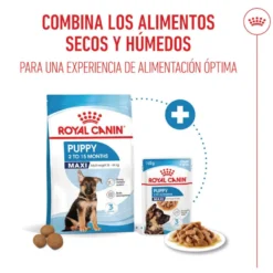 Royal Canin Húmedo Maxi Puppy sobre para perros
