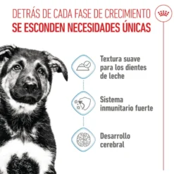 Royal Canin Húmedo Maxi Puppy sobre para perros