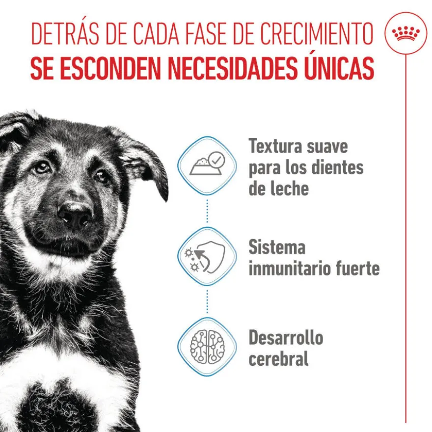 Royal Canin Húmedo Maxi Puppy sobre para perros