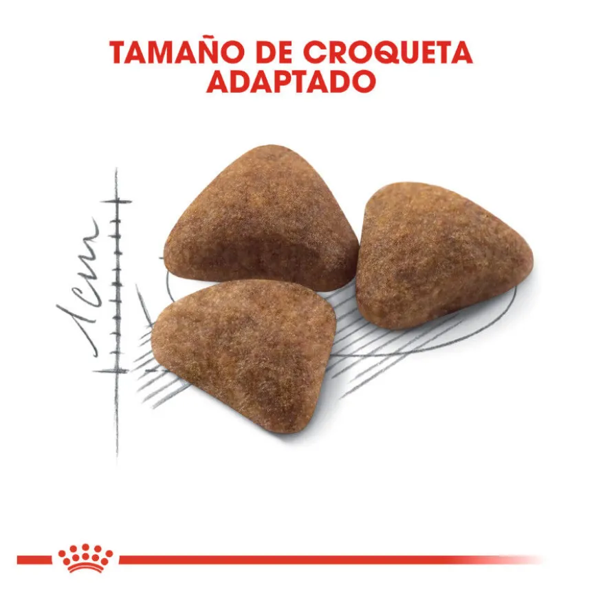 Royal Canin Home Life Indoor 27 pienso para gatos