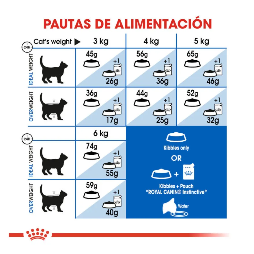 Royal Canin Home Life Indoor 27 pienso para gatos