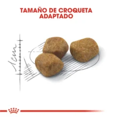 Royal Canin Home Life Indoor 7+ pienso para gatos
