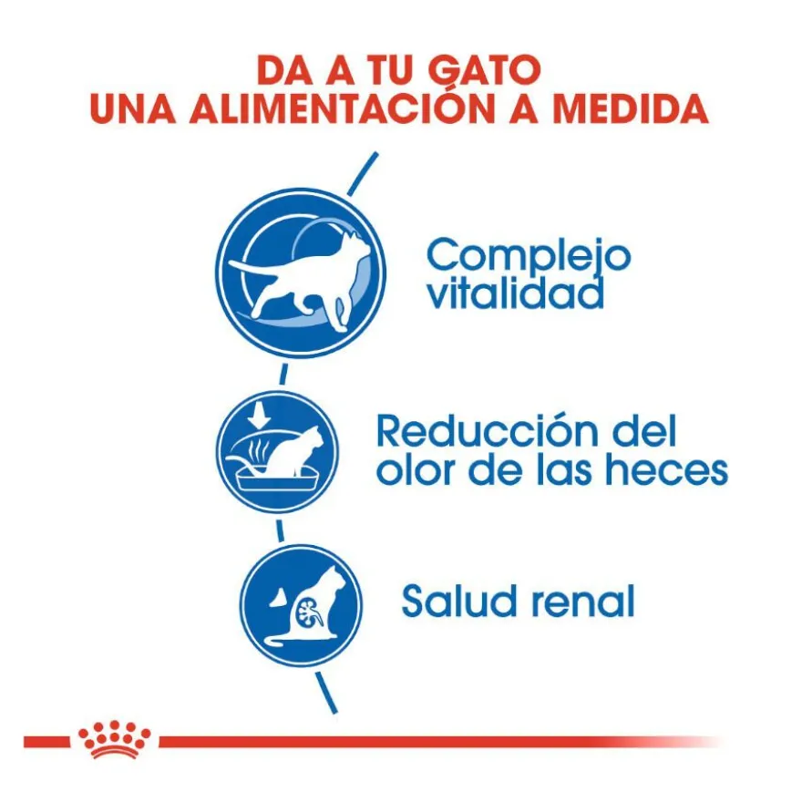 Royal Canin Home Life Indoor 7+ pienso para gatos