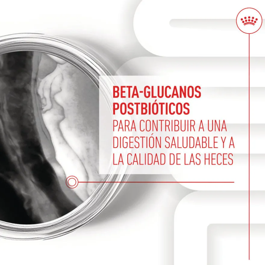 Royal Canin Immunity & Digestion Chews Puppy Suplemento nutricional para perros