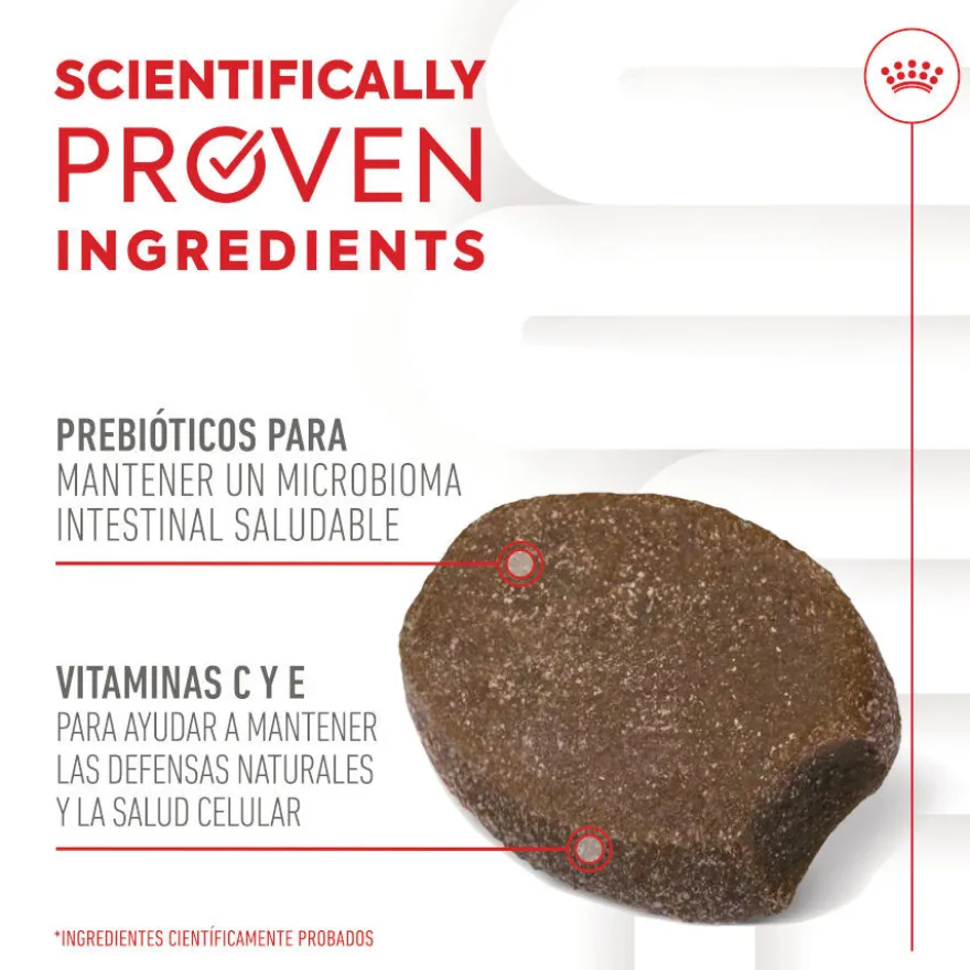 Royal Canin Immunity & Digestion Chews Puppy Suplemento nutricional para perros