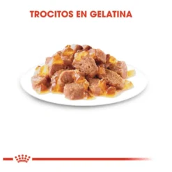 Royal Canin Instinctive gelatina sobres para gatos
